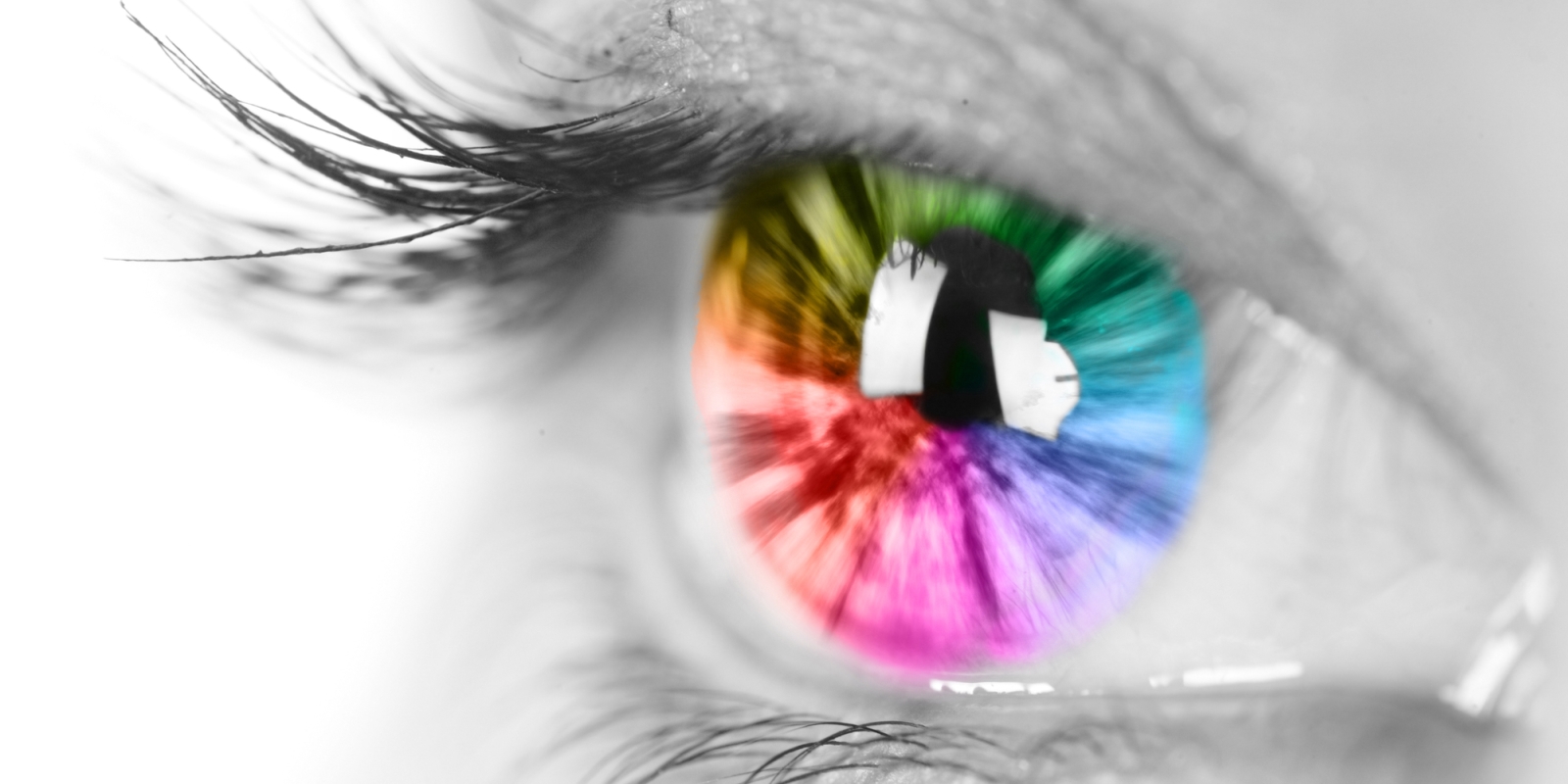 Χρώμα & Μάρκετινγκ: Πώς τα Χρώματα Καθοδηγούν τη Μνήμη, το Συναίσθημα και τις Αγορές»