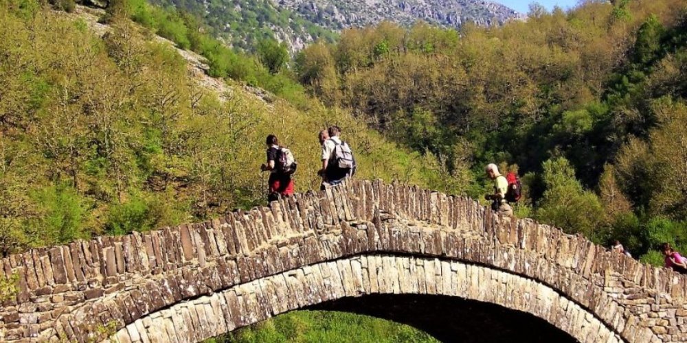 Αξιοποίηση Πρακτικών Οικοθεραπείας για τη Βελτίωση της Απόδοσης των Εργαζομένων