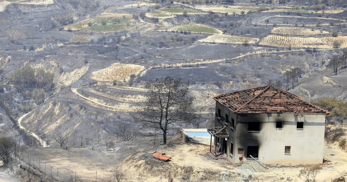 Πυρκαγιές Λεμεσού: Θα Επιβιώσει η Αμπελουργία και Οινοπαραγωγή της Λεμεσού;