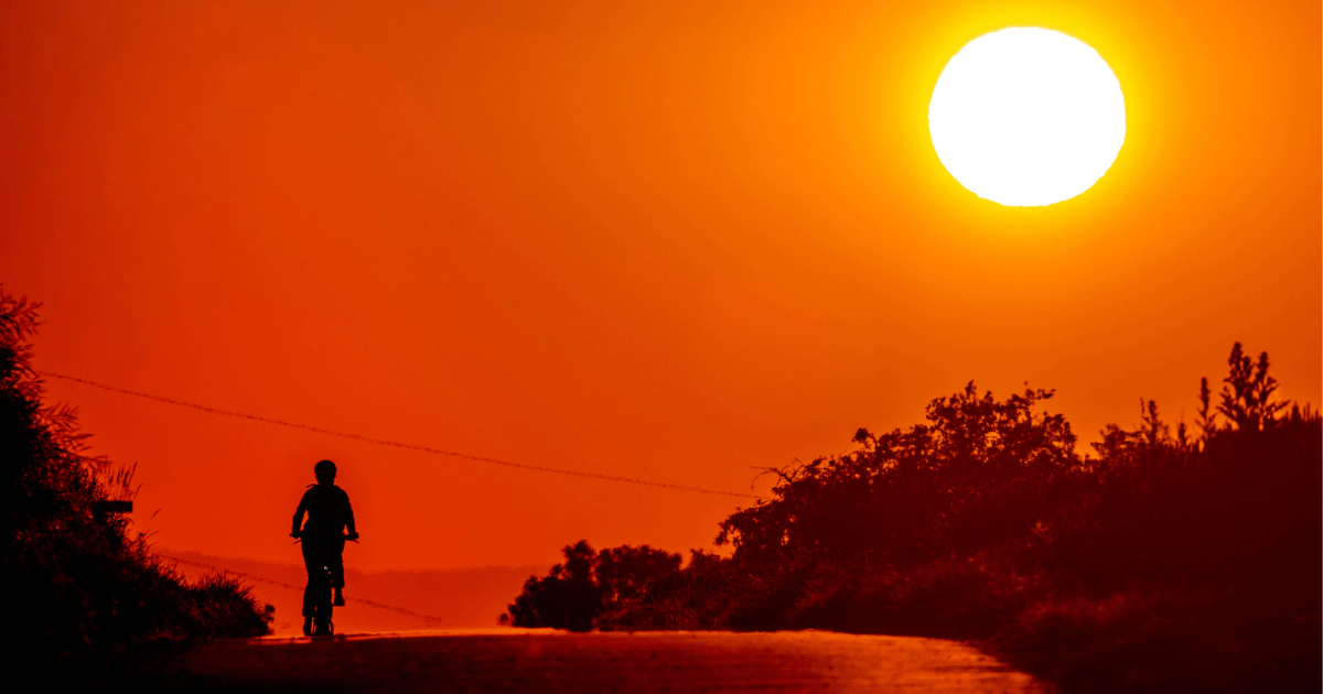 Συμβουλές επιβίωσης από τους κινδύνους του καλοκαιριού