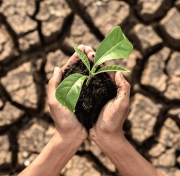 Κλιματική αλλαγή: Δραματικές επιπτώσεις για τον άνθρωπο και περιβάλλον