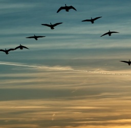 Τρεις Δεξιότητες που Μεταμορφώνουν Νέους Ηγέτες σε Πραγματικούς Καθοδηγητές