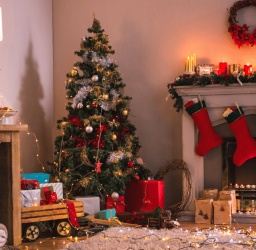 Αποφυγή και Αντιμετώπιση Χριστουγεννιάτικων Κινδύνων τις Γιορτές
